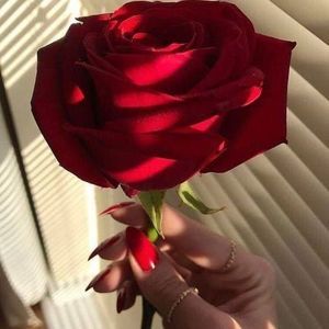 Meet your Posher, Alicia